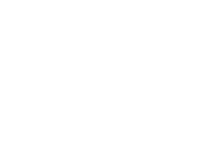 neurogridler